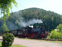 Kuckucksbähnel 0082