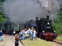 Kuckucksbähnel 0111