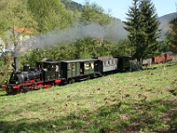 Kuckucksbähnel 0198