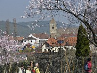 Frühling 0017