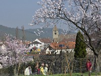 Frühling 0018