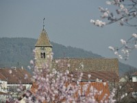 Frühling 0033