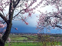 Frühling 0084