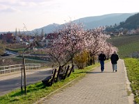 Frühling 0112