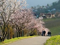 Frühling 0116