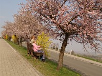 Frühling 0151