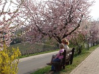 Frühling 0154