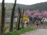 Frühling 0167