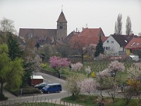 Frühling 0182