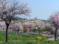 Frühling 0201