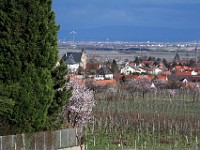 Frühling 0284