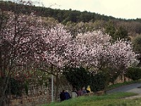 Frühling 0300