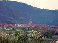 Frühling 0374