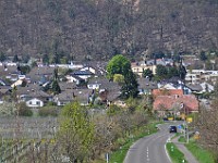 Königsbach 0035