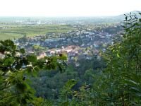 Königsbach 0036