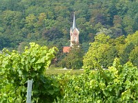 Weinlandschaften 0021